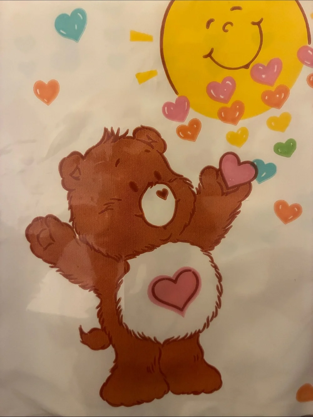 1980s American Greetings Care Bears Birthday Banner